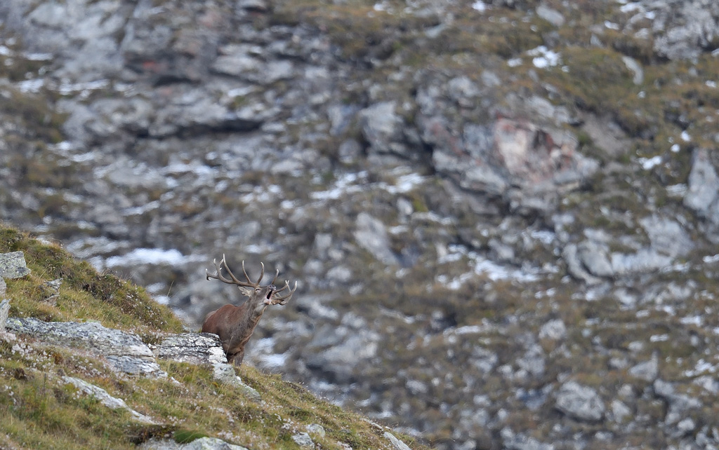 DS5_0950.jpg