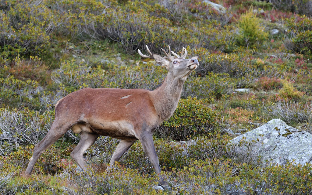 DS5_0981.jpg