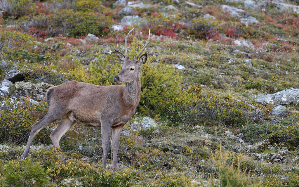 DS5_0986.jpg