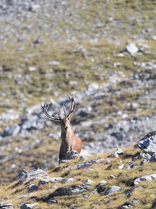 DS5_0991.jpg
