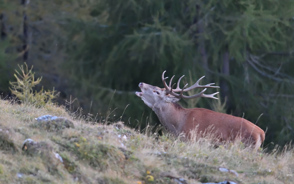 DS5_1019.jpg