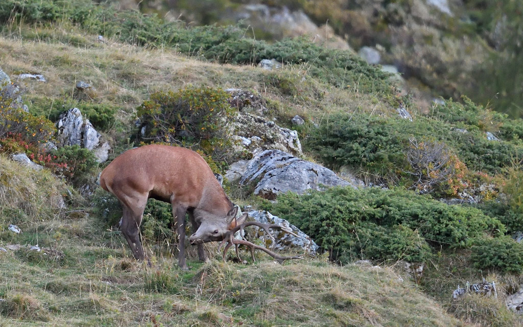 DS5_1054.jpg