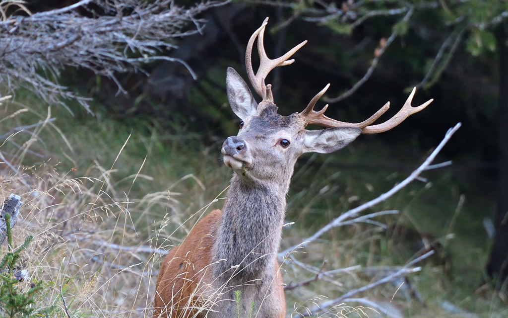DSC_9383.jpg