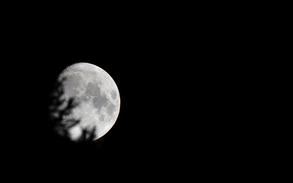 DSC_9403.jpg