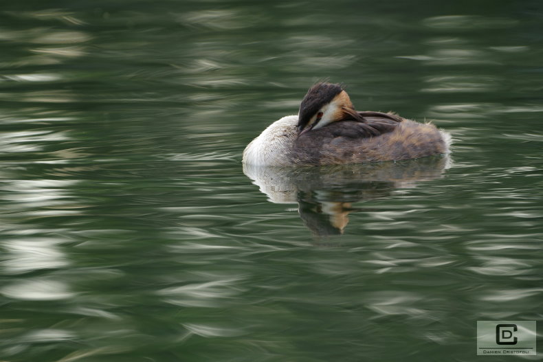 K33D5852_2.jpg