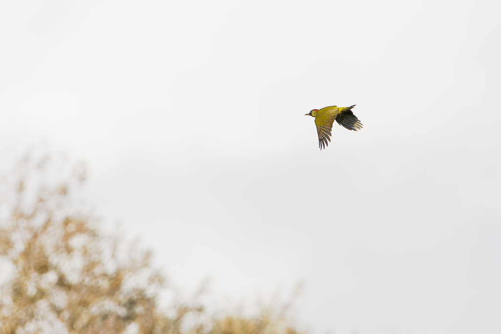 DSC_3279_DxO.jpg