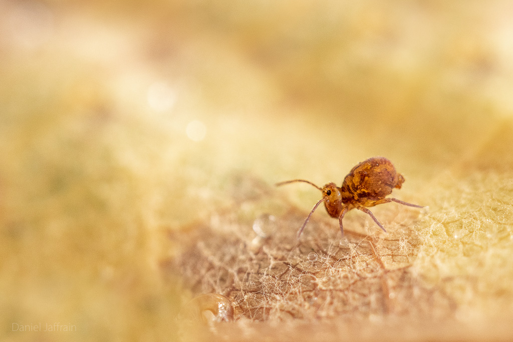 Image et Nature-1-58.jpg