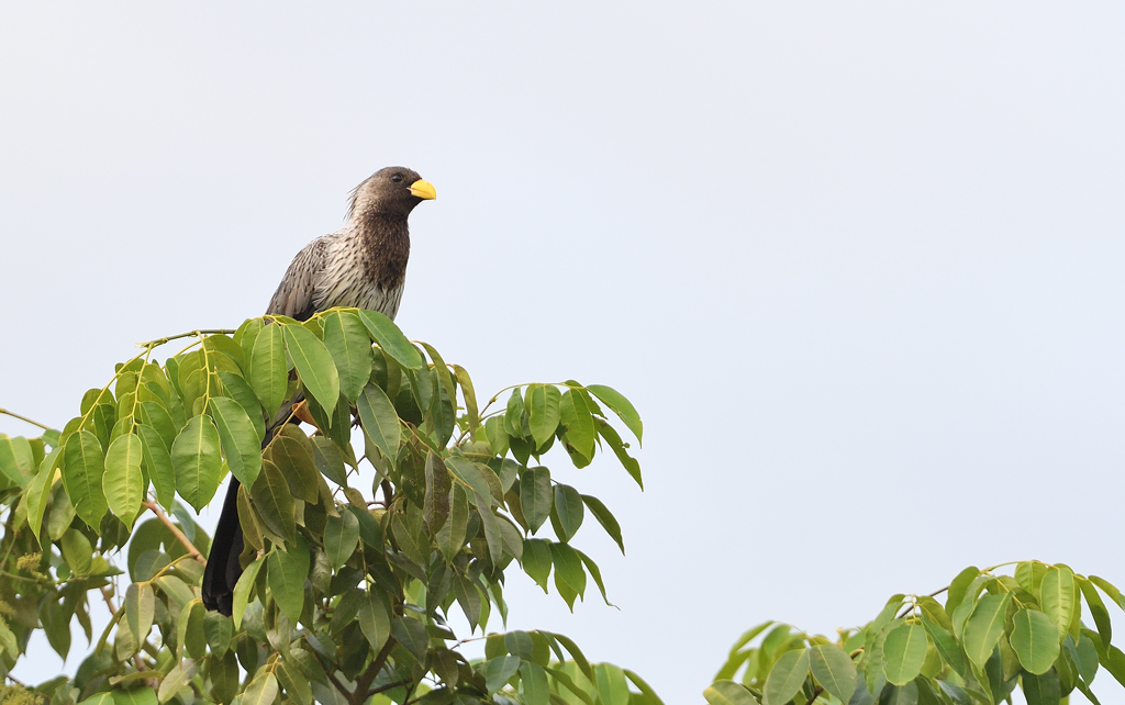 DS5_9743.jpg
