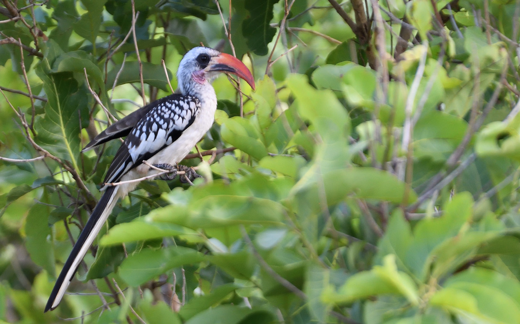 DS5_9751.jpg