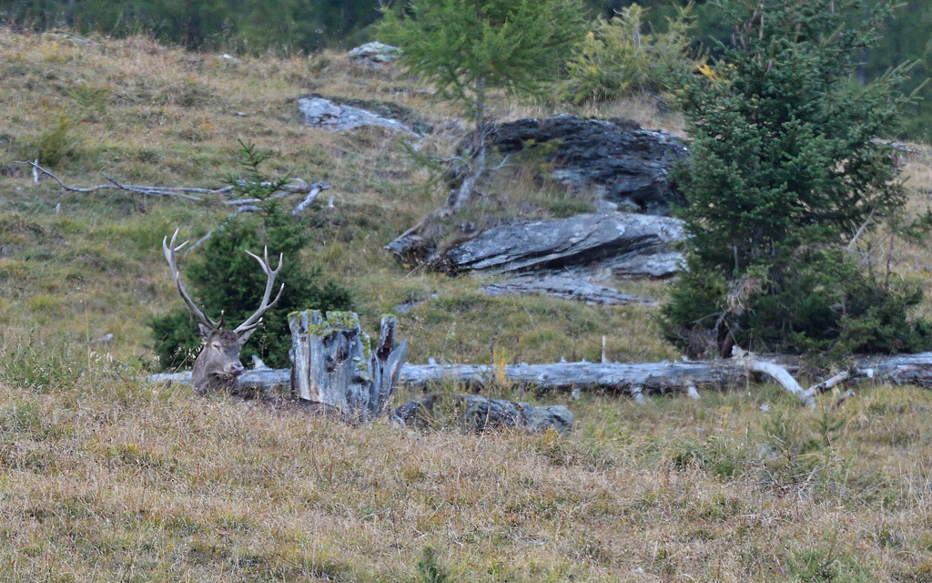 DSC_9661.jpg