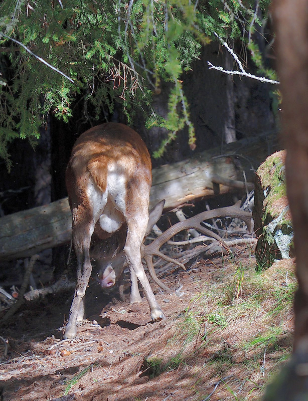 DSC_9762.jpg