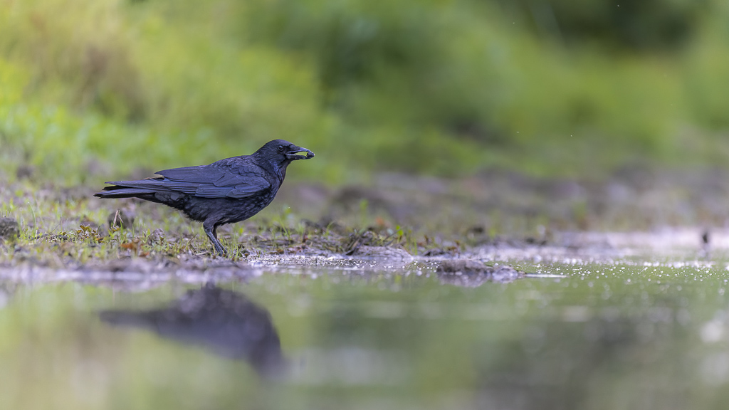 _S8A7053_DxO-2.jpg