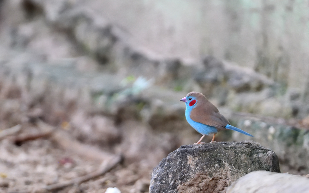 DS5_9934.jpg