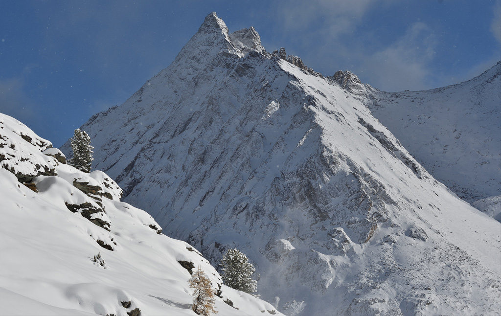 DSC_0439.jpg