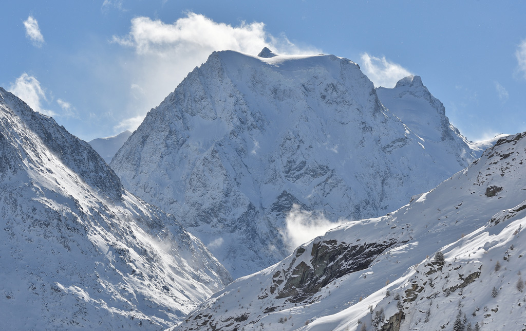 DSC_0444.jpg