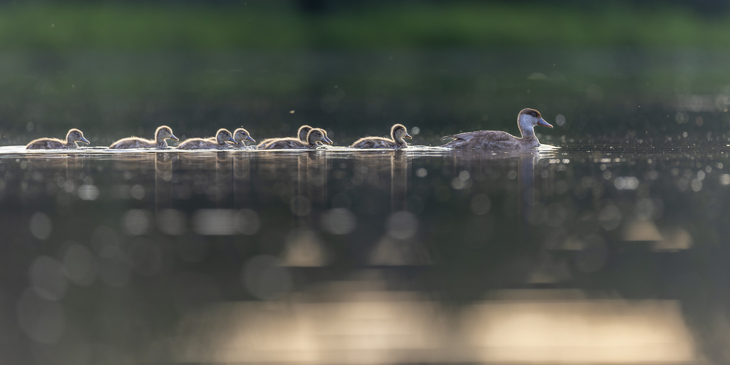 _S8A7149_DxO-3.jpg