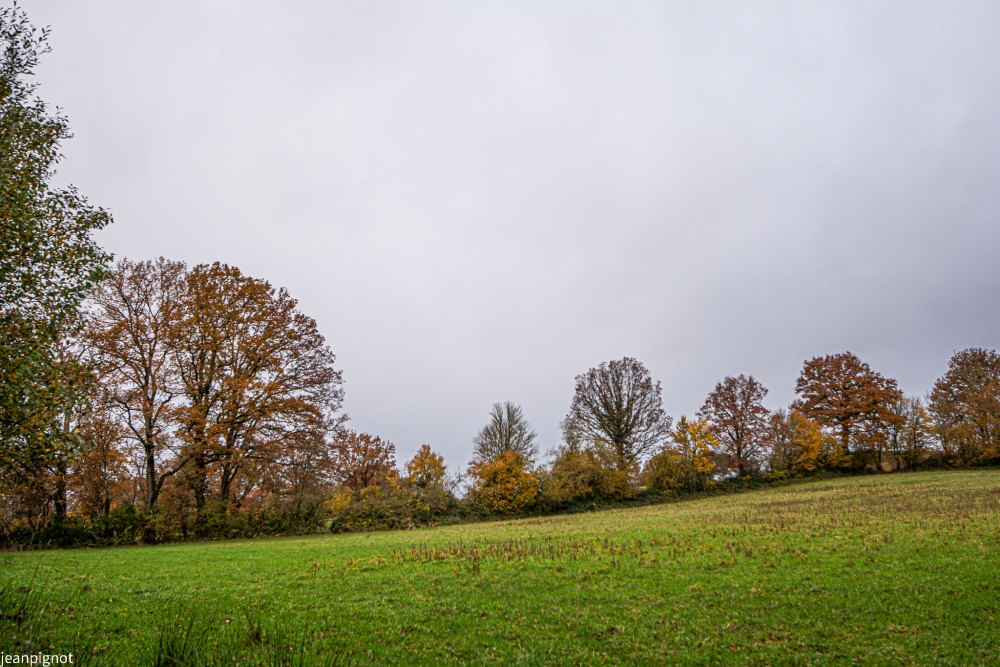 DSC_3138_2203.JPG