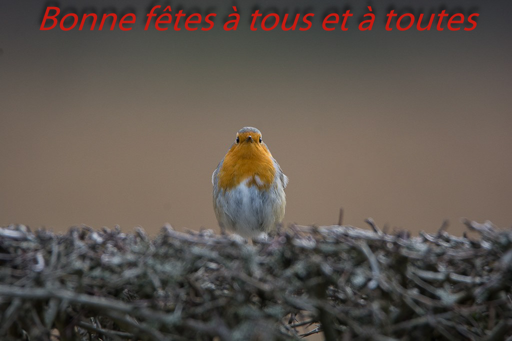 Fin d'année.jpg