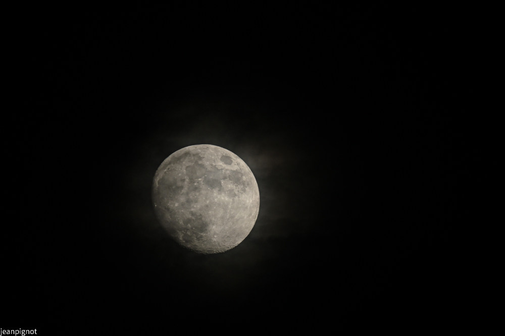 DSC_0544_2206.JPG