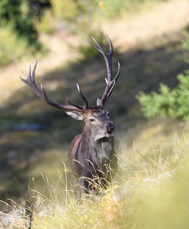 +DS5_1245.jpg