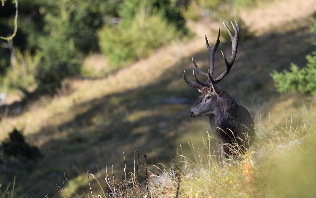 +DS5_1248.jpg