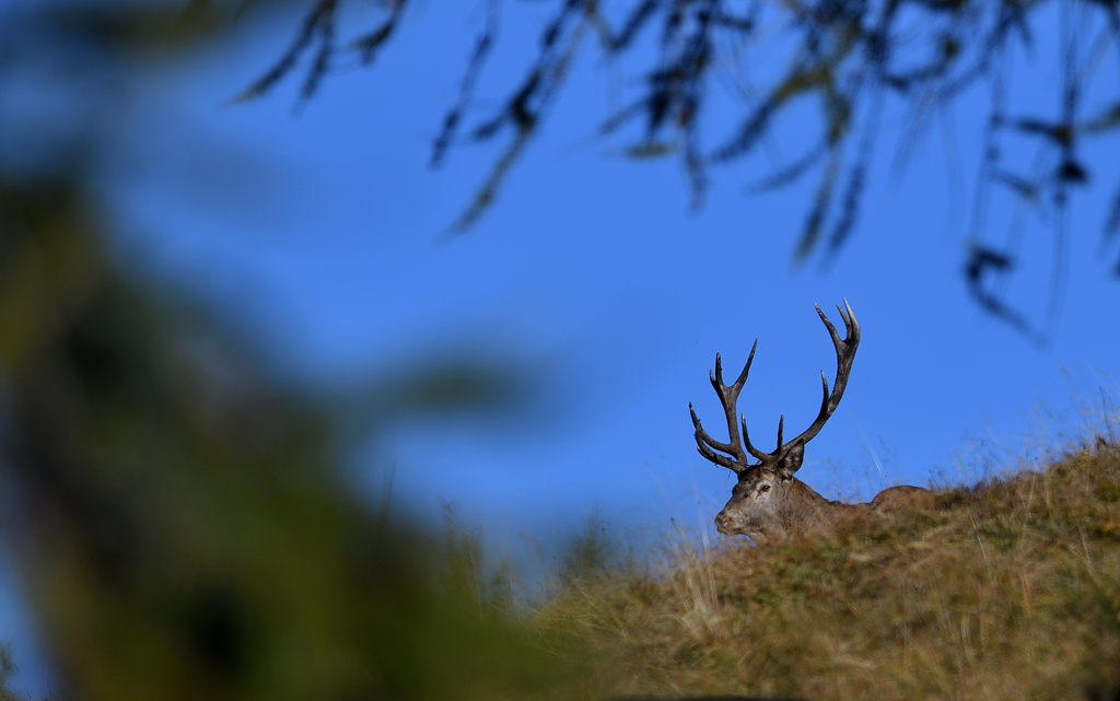DS5_1338.jpg