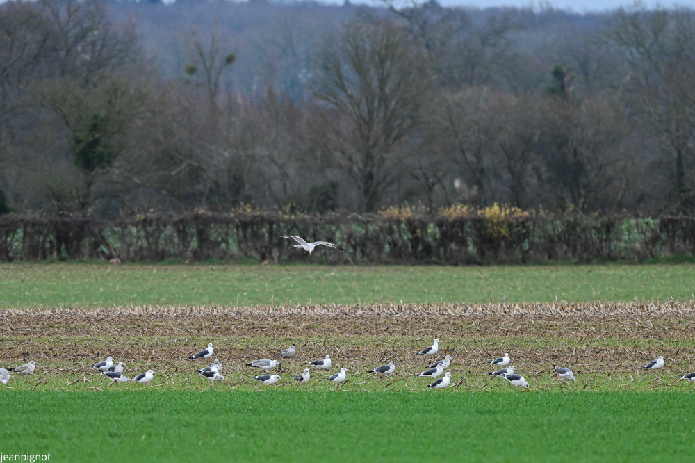 DSC_0626_2228.JPG