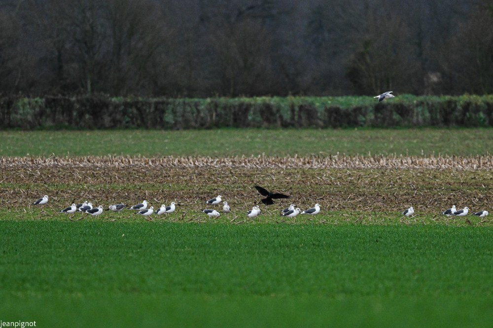 DSC_0640_2229.JPG