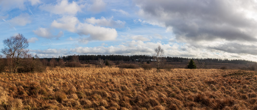 IMG_6187-Panorama.jpg