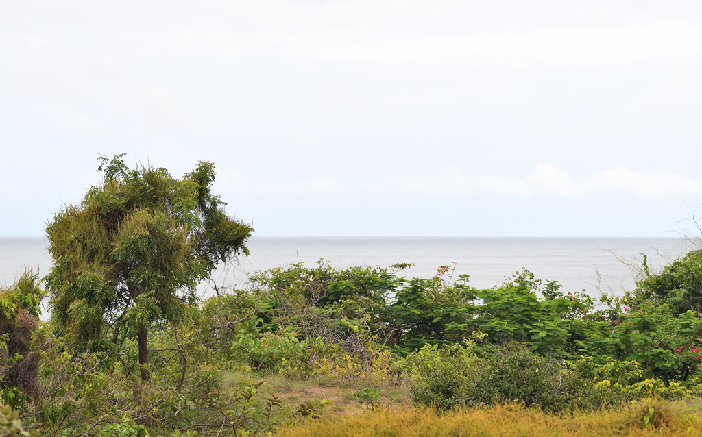 DS5_0116.jpg