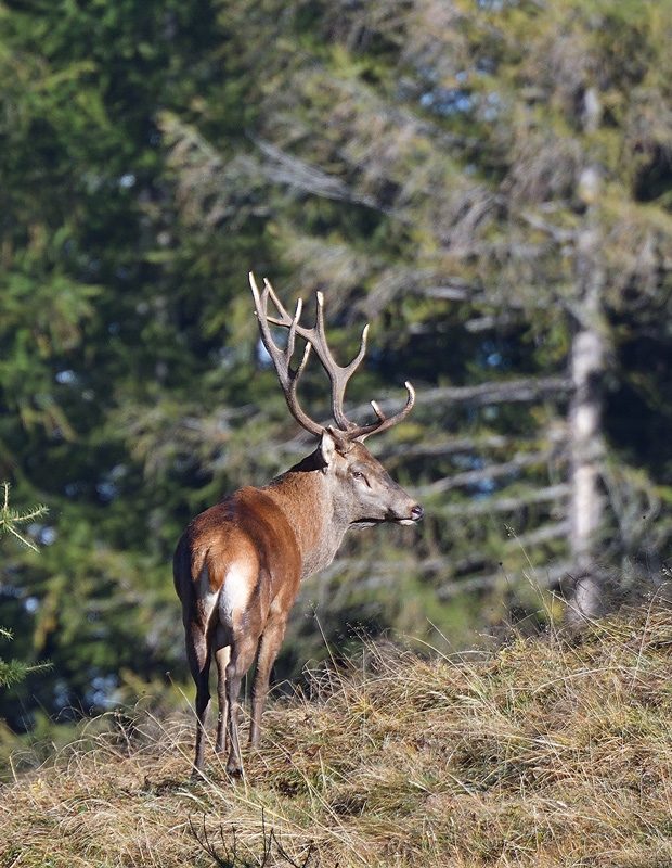 DSC_0012.jpg