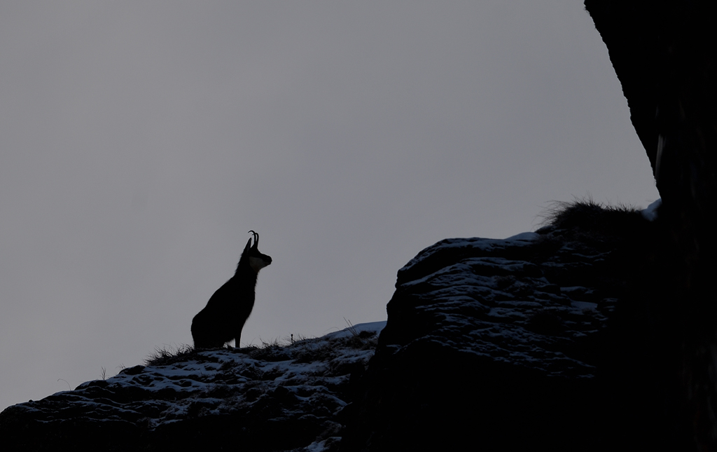 DS5_2156.jpg