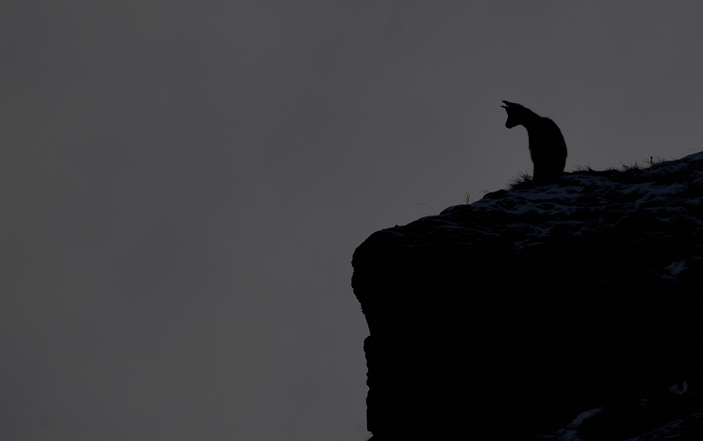 DS5_2158.jpg
