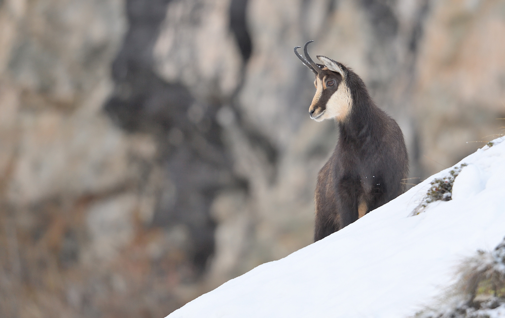 DS5_2174.jpg