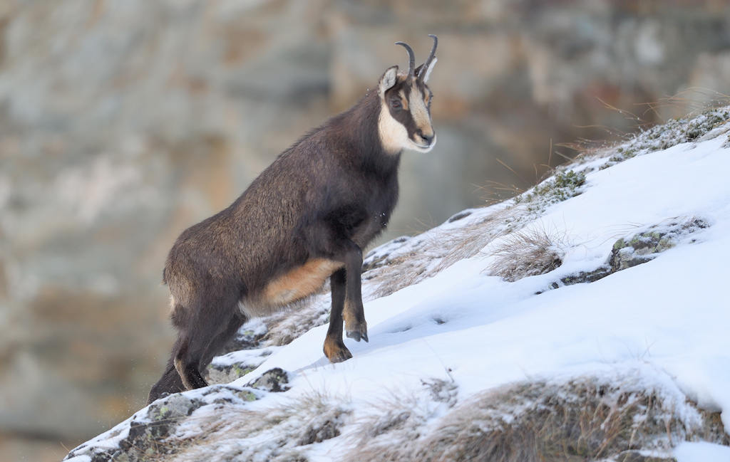 DS5_2182.jpg