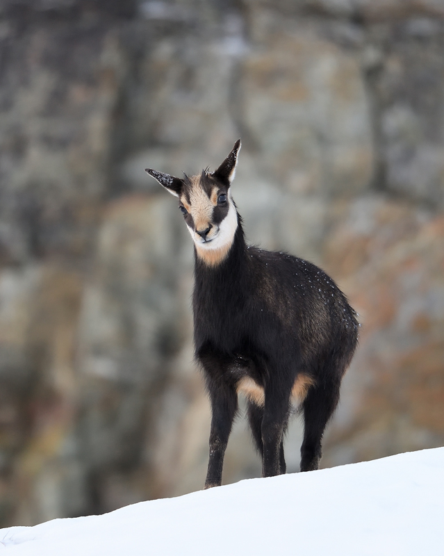 DS5_2185.jpg