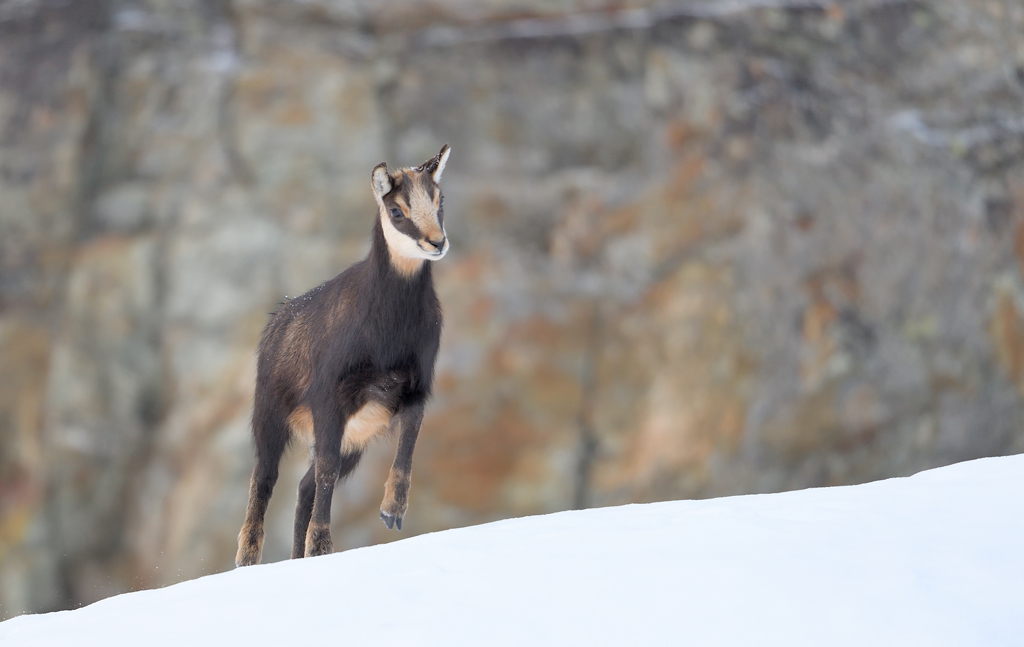 DS5_2186.jpg