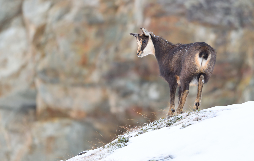 DS5_2193.jpg