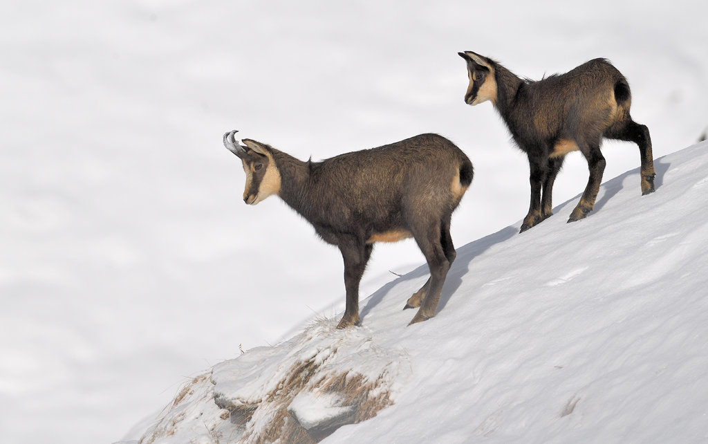 DS5_2207.jpg