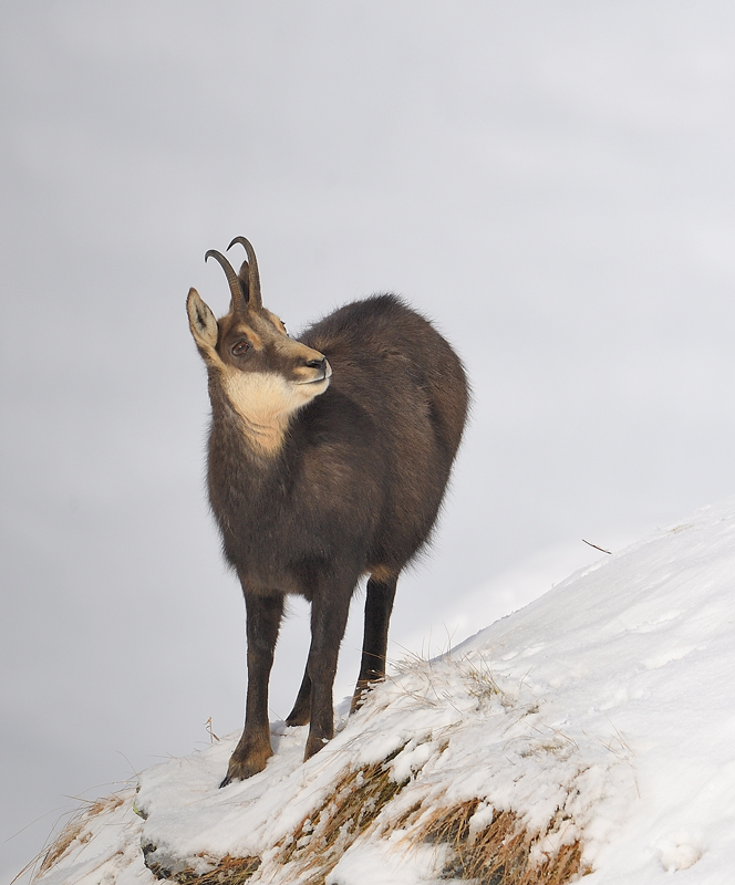 DS5_2223.jpg