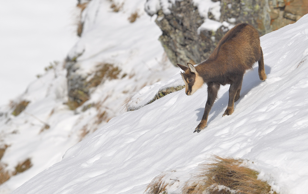 DS5_2232.jpg