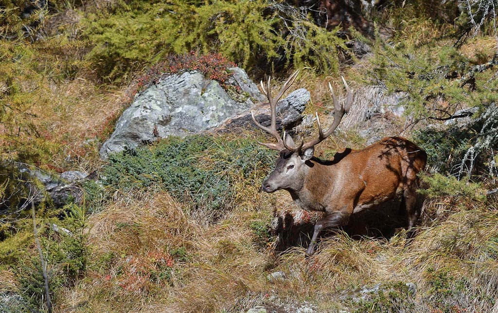 DSC_0022.jpg