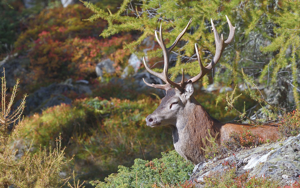 DSC_0034.jpg