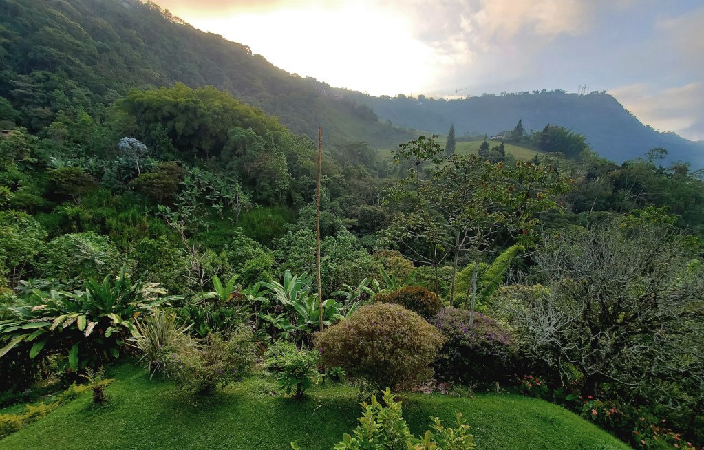 144.-jardins paraiso verde.jpg