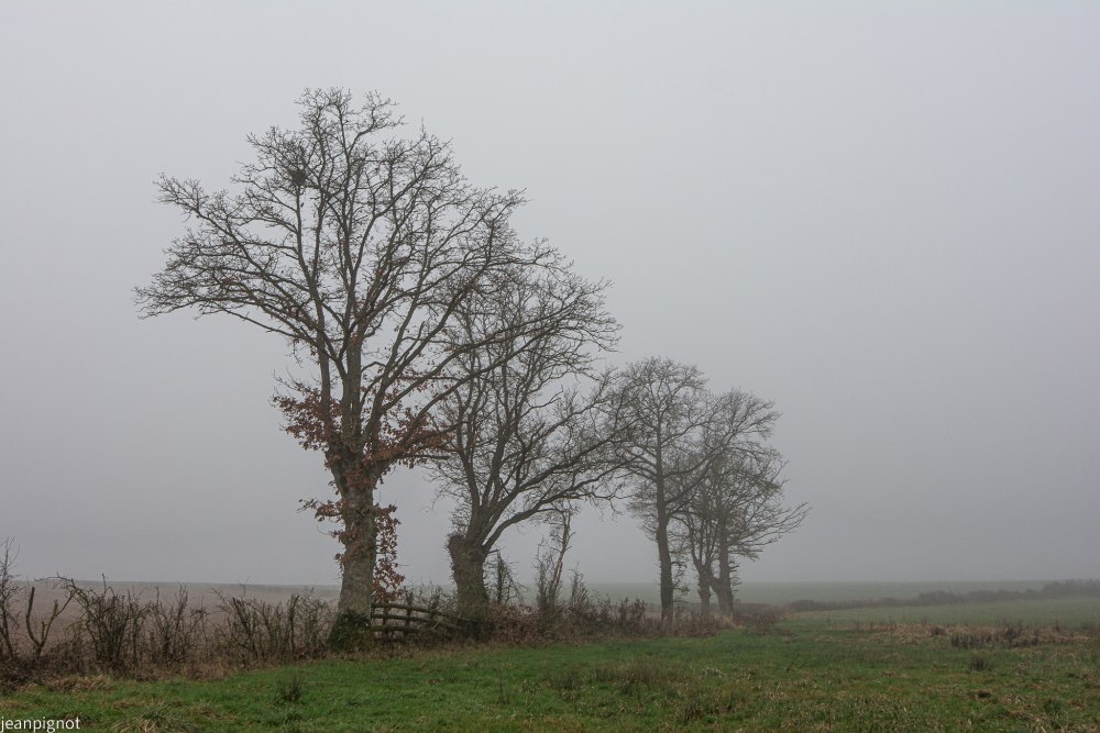 DSC_3288_2295.JPG