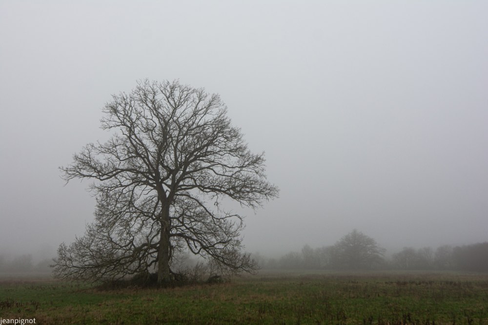 DSC_3289_2296.JPG