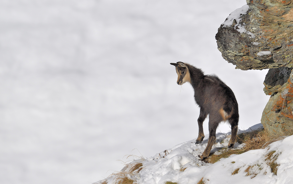 DS5_2246.jpg