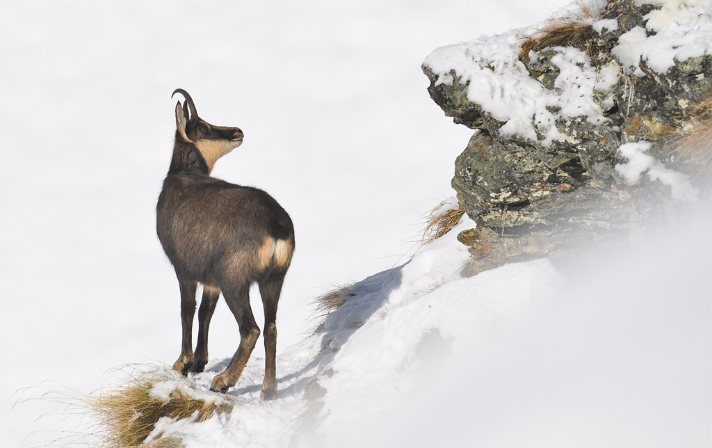 DS5_2254.jpg
