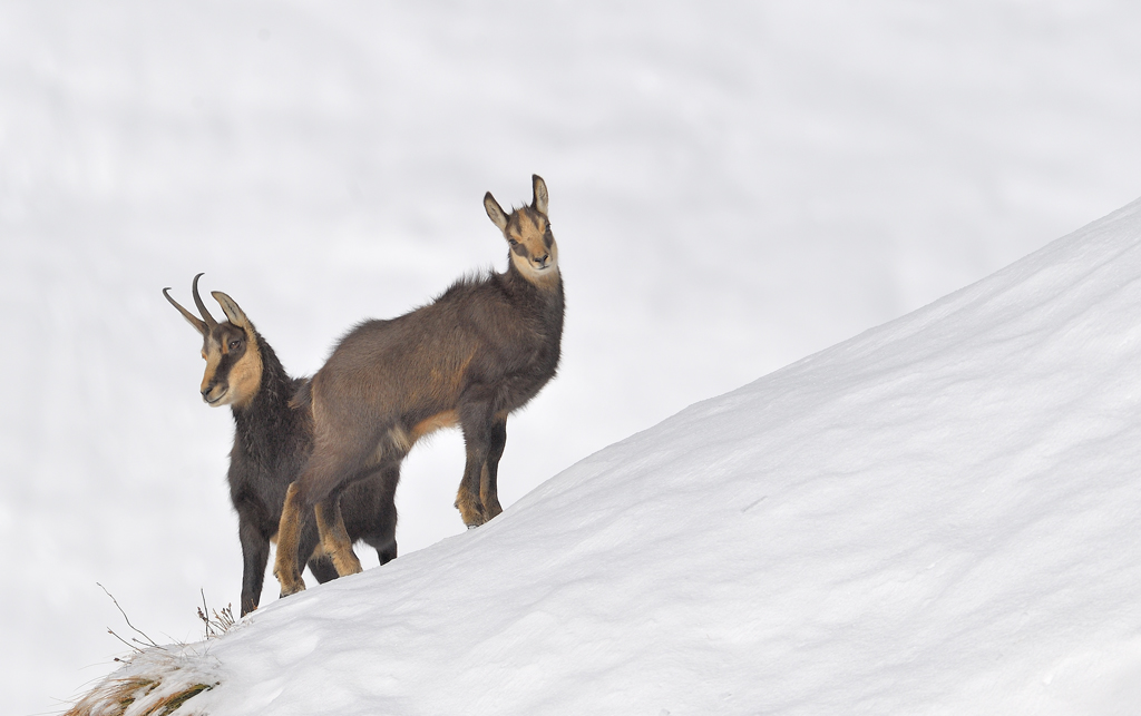 DS5_2269.jpg