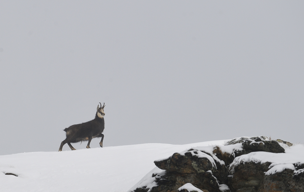 DS5_2283.jpg